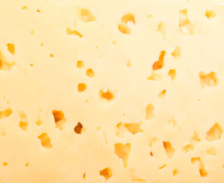 cheese backgroundの写真素材