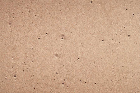 wet sand background