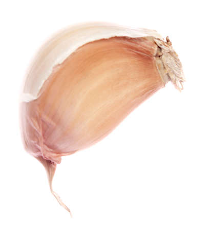 garlic clove isolated on white backgroundの写真素材