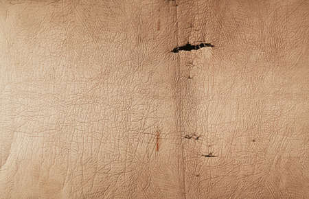 old leather texture