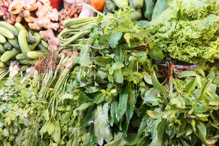 Fresh green organic in the marketの写真素材