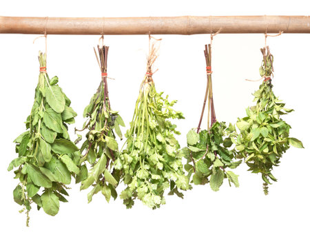 Hanging fresh herbs isolated on white background. Basil, mint, parsleyの写真素材