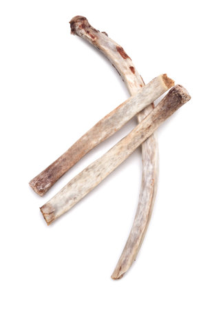 Rib bones isolated on white background