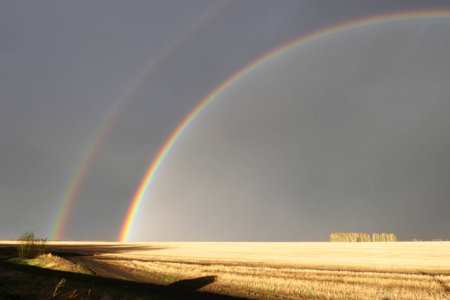 Great double rainbow over fieldの写真素材