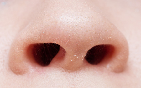 Close up shot of nostrilsの写真素材