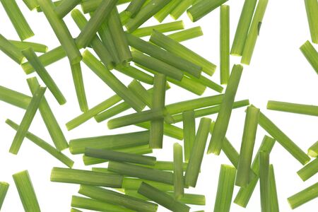 Green onion isolated on whiteの写真素材