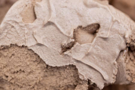 Chocolate ice cream, food backgroundの写真素材