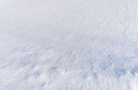 Fresh snow as a backgroundの写真素材