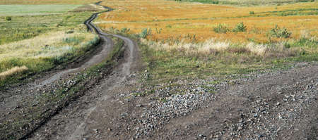 Landscape with fork roads