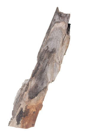 Old wood on white backgroundの写真素材