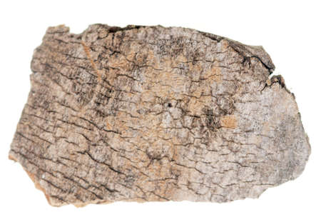 Old wood on white background