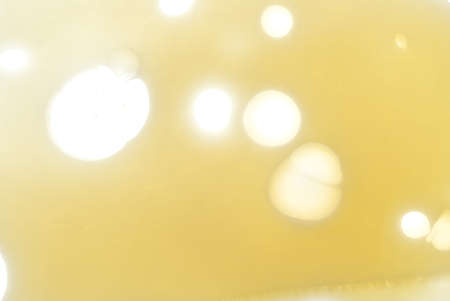 Cheese with holes as background