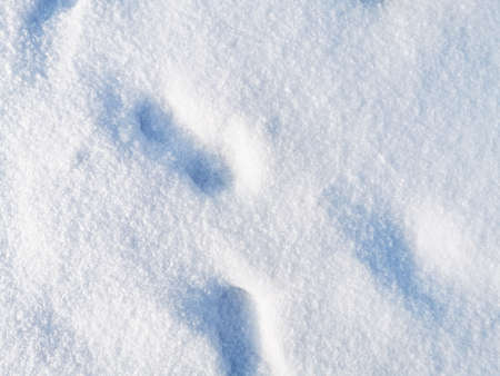 Footprints on white snow, winter concept