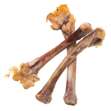 Chicken bones isolated on white background