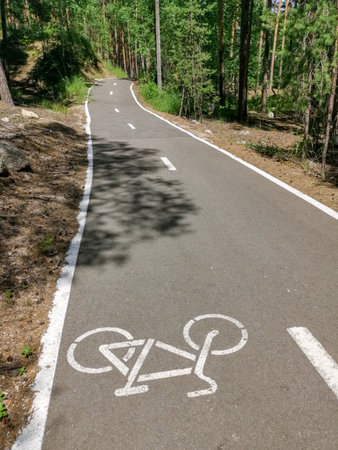 Asphalt bicycle road in a forest