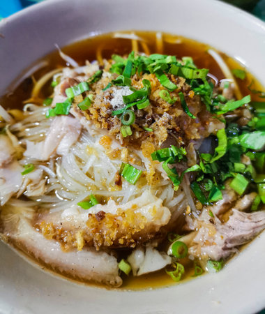 Bowl of soup with noodles, pork, and green onions.