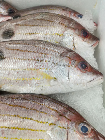 Fresh fish at the market