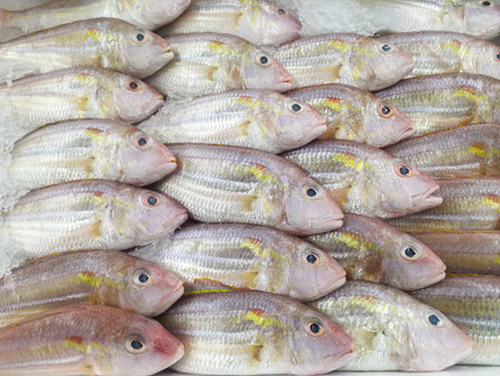 Fresh fish at the marketの写真素材