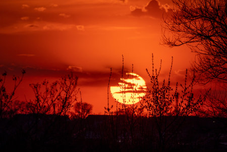 A large orange sun is setting in the sky, casting a warm glow over the trees. The sky is filled with clouds, creating a serene and peaceful atmosphereの写真素材