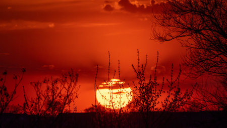 A large sun is setting in the sky, casting a warm glow over the trees. The sky is filled with clouds, creating a serene and peaceful atmosphereの写真素材