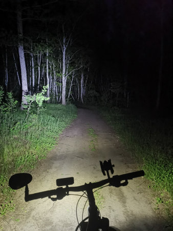 Bicycle in an night forestの写真素材