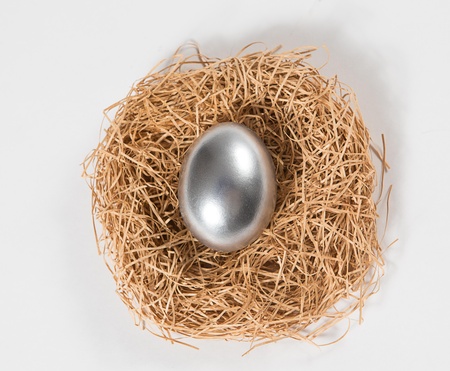 One silver egg in a nest の写真素材