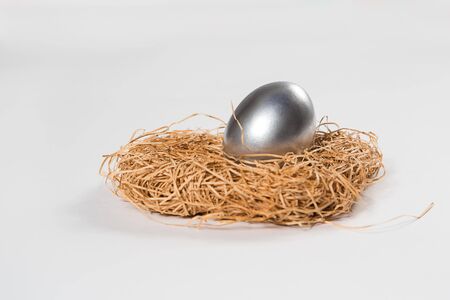 One silver egg in a nest の写真素材