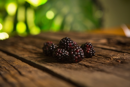 Sweet fresh  blackberry in the wood bawlの写真素材