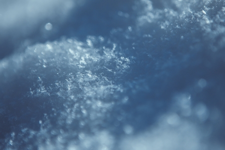Macro photo of bright snow backgroundの写真素材