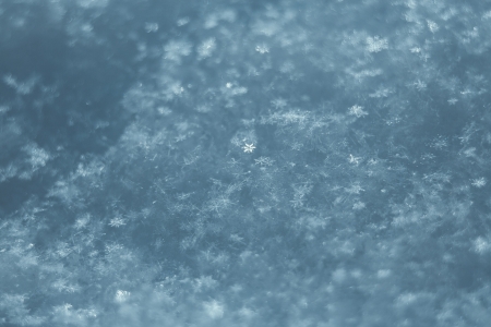 Macro photo of bright snow backgroundの写真素材