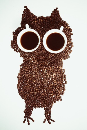 conceptual owl made with coffee beans and cupsの写真素材