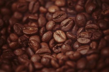 roasted coffee beansの写真素材