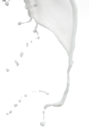 Milk splash on white backgroundの写真素材