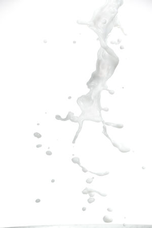 Milk splash on white backgroundの写真素材