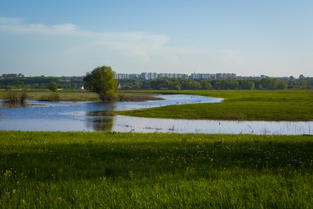Green grass field and city far off. Focus on the foreground!!! Shallow DOF!!!の写真素材