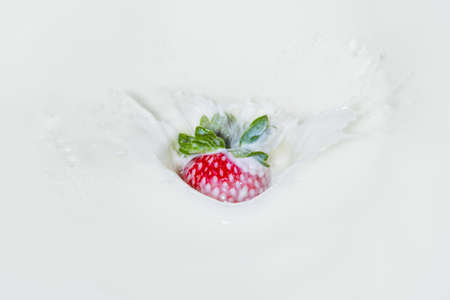 Strawberry falling into splashing milk. Isolated on white.の写真素材