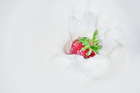 Strawberry falling into splashing milk. Isolated on white.の写真素材