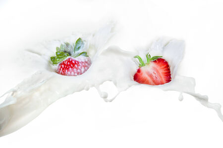 Strawberry falling into splashing milk. Isolated on white.の写真素材