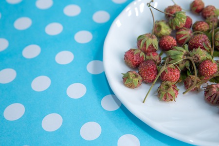 Forest summer red wild sweet strawberries berries の写真素材