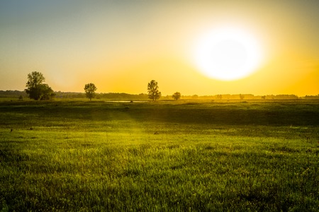 Sunset over fieldの写真素材