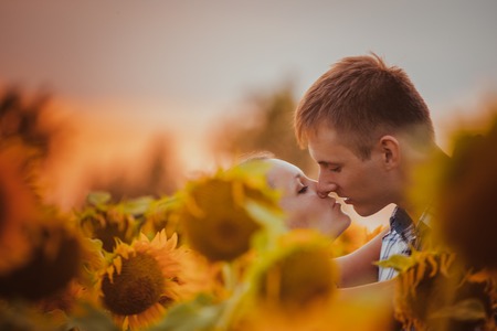 love couple standing outdoors in  sunflower fieldの写真素材