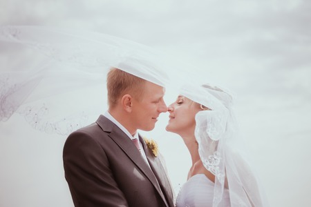 Kissing wedding couple in high grassの写真素材