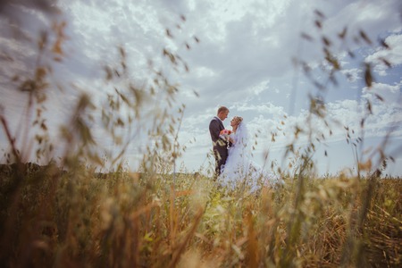 Beautiful bride and groom standing in grass and kissing. Wedding couple fashion shoot.の写真素材