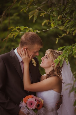 Bride and groom in a park kissing.couple newlyweds bride and groom at a wedding in nature green forest are kissing photo portrait.Wedding Couple Loveの写真素材