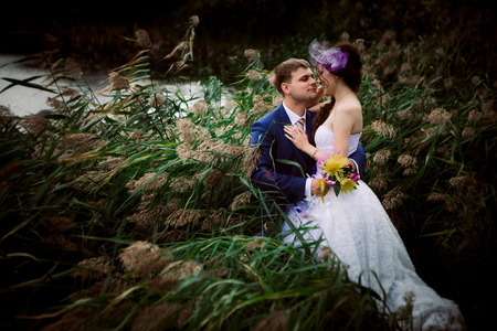 Young attractive bridal couple  holding hands outdoors next to tree by lakeの写真素材