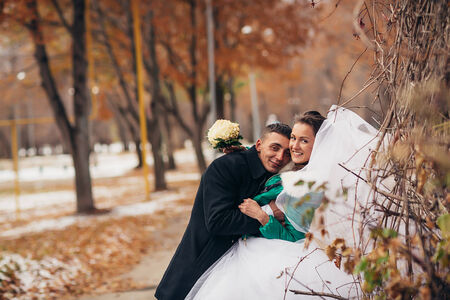Beautiful wedding in autumn  parkの写真素材