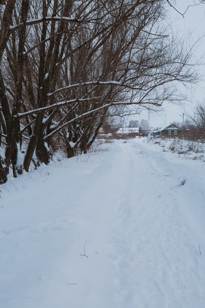 Winter nature. Russian  country landscapeの写真素材