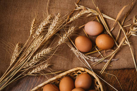 fresh brown eggs and wheat on linen  backgroundの写真素材