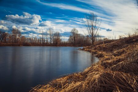 Evening on the lake with  reeds