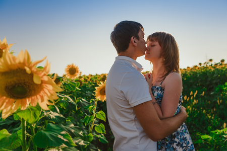 Romantic couple standing  and kissing on background summer meadow sunflower  sunsetの写真素材